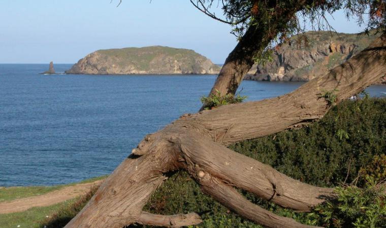 Appartamento In Casa Con Cortili Ad Arbus - Sardegna Bagian luar foto